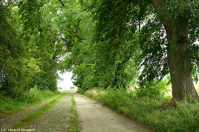 Old cobbled street between Groß- and Klein Mantel