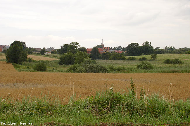 In the fields near Wildenbruch